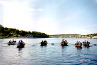 Click here -> 392x586 pix.