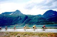 Click here -> 378x589 pix.