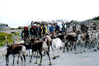 Click here -> 384x592 pix.