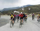 Click here -> 400x501 pix.